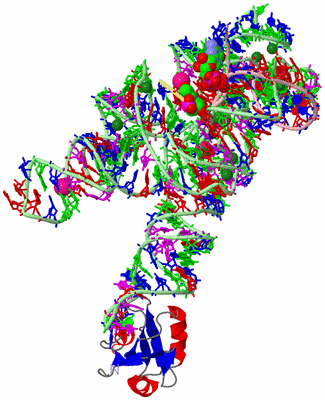 Image Asym./Biol. Unit