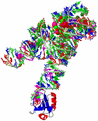 Image Asym./Biol. Unit - sites