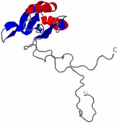 Image NMR Structure - model 1