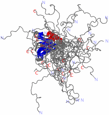 Image NMR Structure - all models