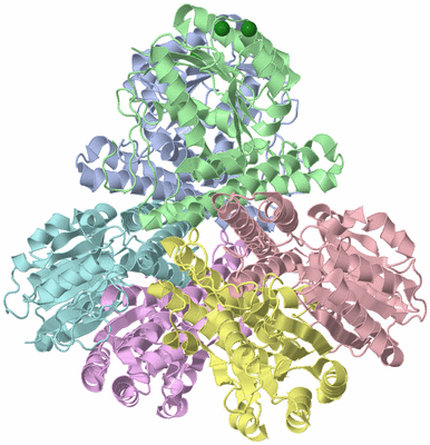 Image Biological Unit 1