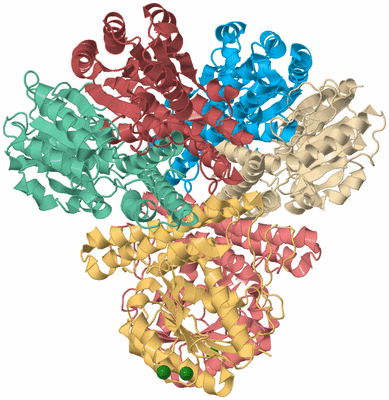 Image Biological Unit 2