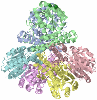 Image Biological Unit 1