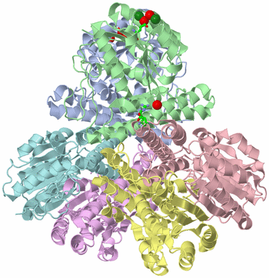 Image Biol. Unit 1 - sites