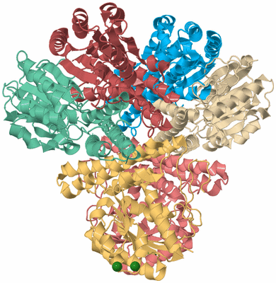 Image Biological Unit 2