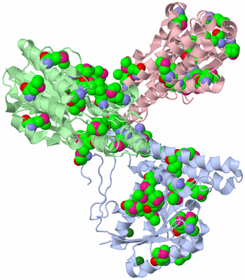 Image Asymmetric Unit