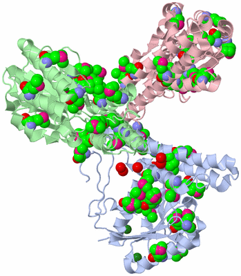 Image Asym. Unit - sites