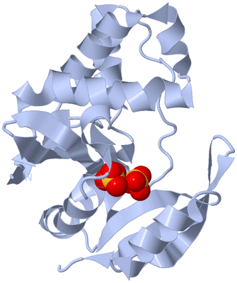 Image Biological Unit 1