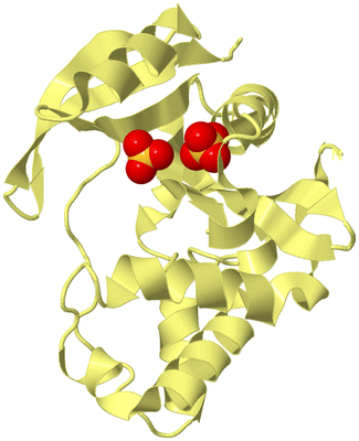 Image Biological Unit 4