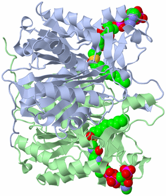 Image Asym./Biol. Unit