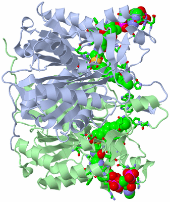 Image Asym./Biol. Unit - sites