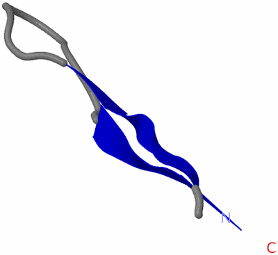 Image NMR Structure - model 1