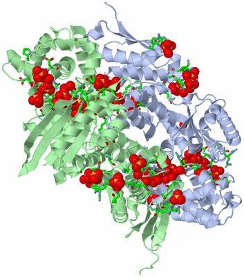 Image Asym./Biol. Unit - sites