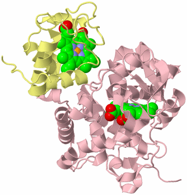 Image Biological Unit 2