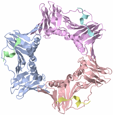 Image Asym./Biol. Unit