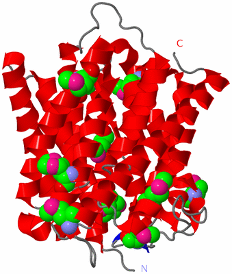 Image Asymmetric Unit