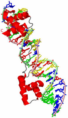 Image Asym./Biol. Unit