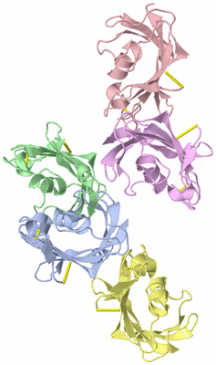 Image Asymmetric Unit