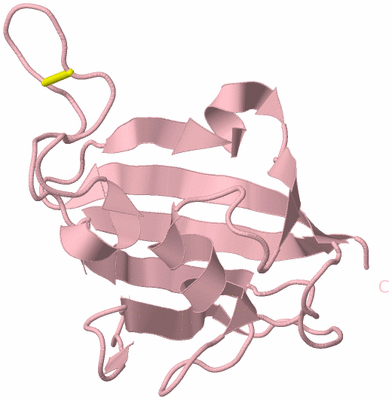 Image Biological Unit 3