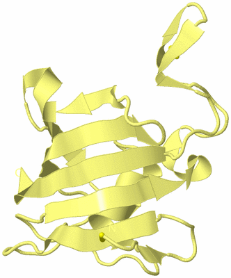 Image Biological Unit 4