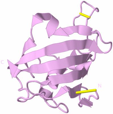 Image Biological Unit 5