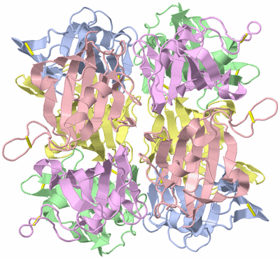 Image Biological Unit 6