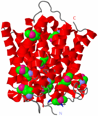 Image Asymmetric Unit