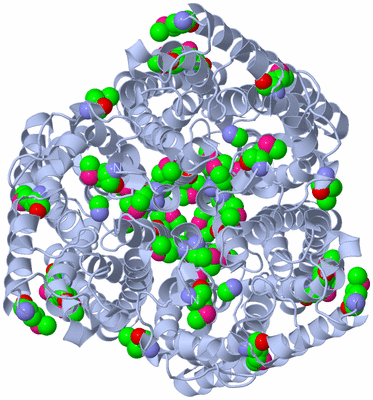 Image Biological Unit 1