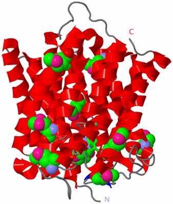 Image Asym. Unit - sites