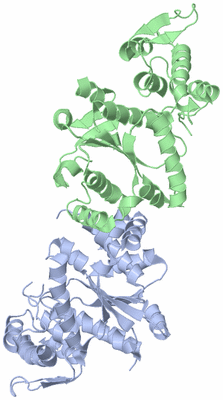 Image Asym./Biol. Unit