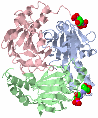 Image Asym./Biol. Unit