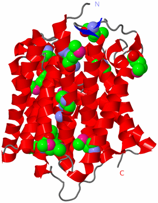 Image Asymmetric Unit