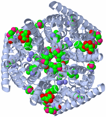 Image Biological Unit 1