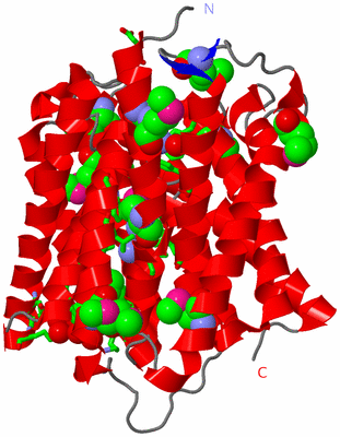 Image Asym. Unit - sites