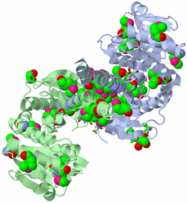 Image Asym./Biol. Unit - sites