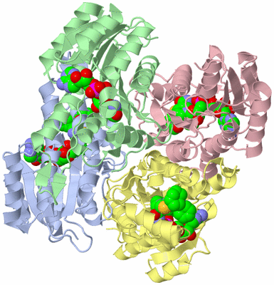 Image Asym./Biol. Unit