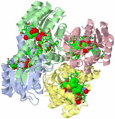 Image Asym./Biol. Unit - sites