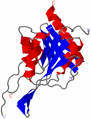 Image Asymmetric Unit