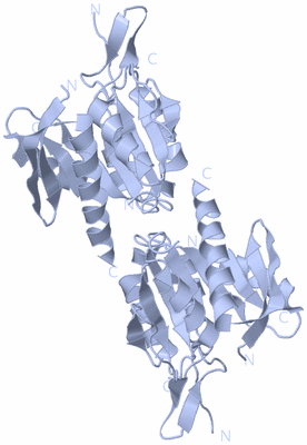 Image Biological Unit 1