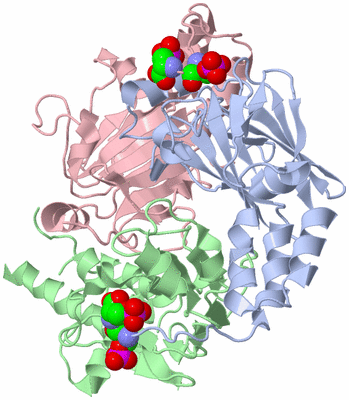 Image Asym./Biol. Unit