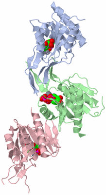 Image Asymmetric Unit