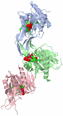 Image Asym. Unit - sites