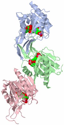 Image Asymmetric Unit