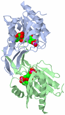 Image Biological Unit 1