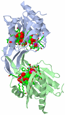 Image Biol. Unit 1 - sites