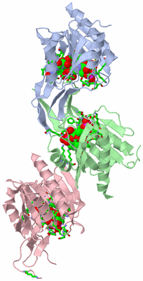 Image Asym. Unit - sites