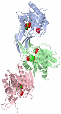 Image Asymmetric Unit