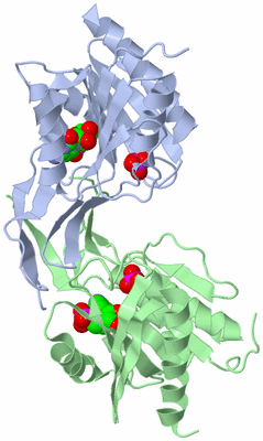 Image Biological Unit 1