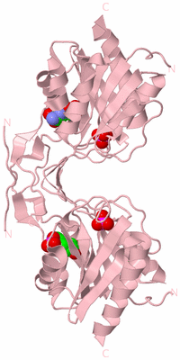 Image Biological Unit 2
