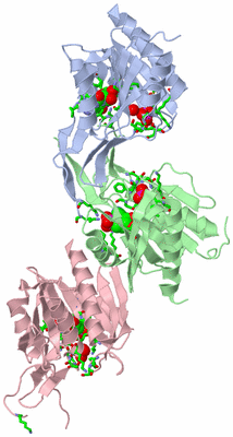Image Asym. Unit - sites
